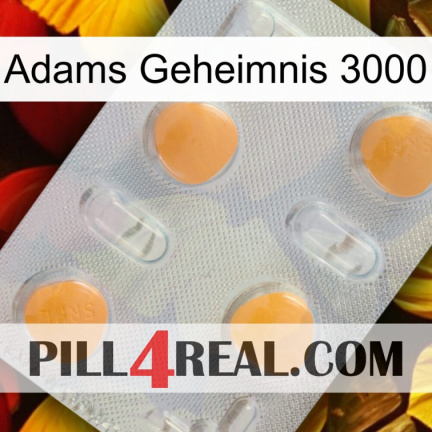 Adams Secret 3000 24